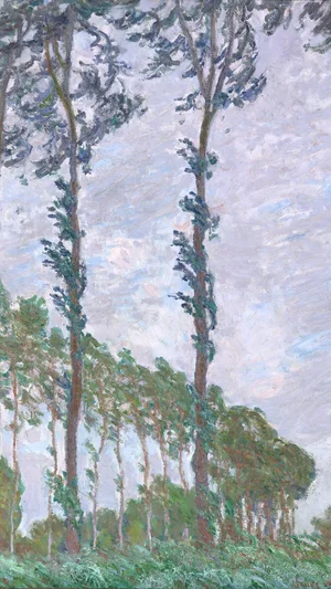 Wind Effect, Row of Poplars
