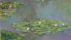 Nymphéas