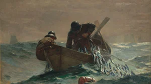 The Herring Net