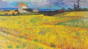 Wheat Field