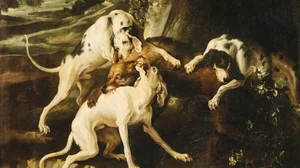 Die Wolfsjagd