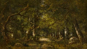 Forest Scene