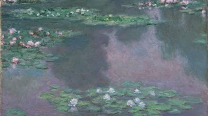Water Lilies