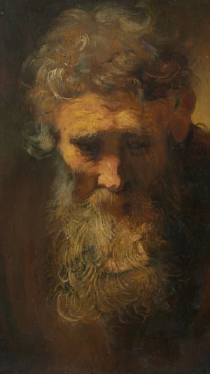 Study of an Old Man