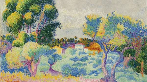 Eucalyptus and Olive Trees