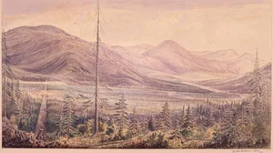 Mooyie River Valley from Monument W. side river looking E. along the 49th parallel