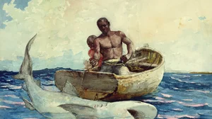 Shark Fishing