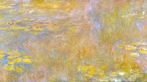 Water-Lilies