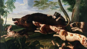 Boar Hunt