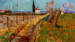 Path Through a Field with Willows