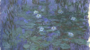 Blue Water Lilies