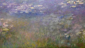 Water Lilies