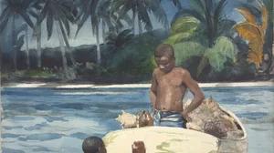 West India Divers