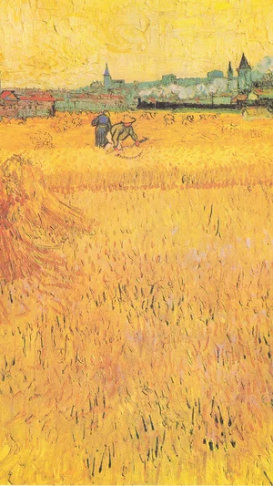 Arles: View from the Wheat Fields