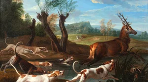 Hallali de Cerf