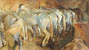 Bus Horses in Jerusalem