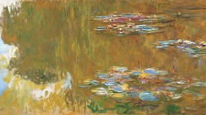 The Water Lily Pond
