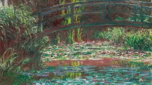 Water Lily Pond