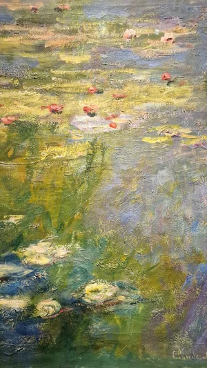 Water Lily Pond