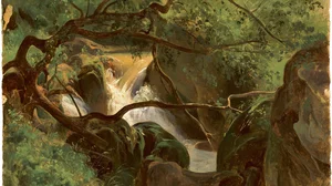 Forest Interior with a Waterfall, Papigno