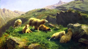 Grazing Sheep in the Pyrenees