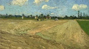 Ploughed fields