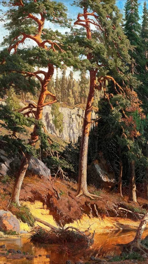 In the Forest