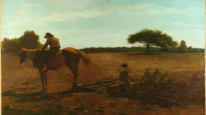 La herse à brosses