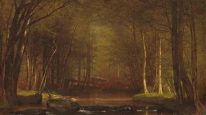 Trout Brook in the Catskills