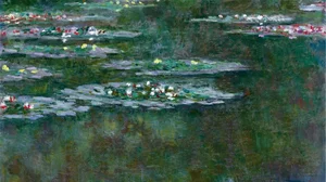 Water Lilies