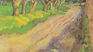 Pollard Willows
