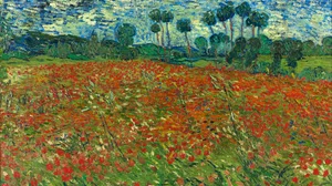 Poppy field
