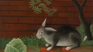 ウサギの食事
