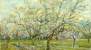The white orchard