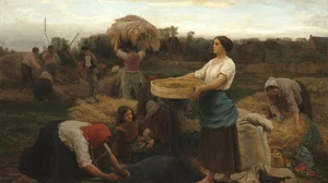 The Colza (Harvesting Rapeseed)