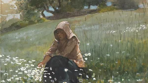Jeune fille et marguerites