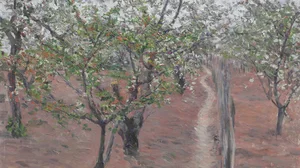 Obstgarten, blühende Bäume, Petit Gennevilliers