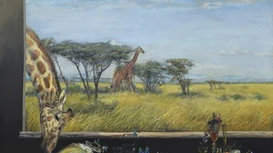 Breakfast with Giraffes