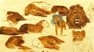 Esquisses de lions et lionnes