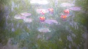 Nymphéas