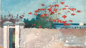 A Wall, Nassau