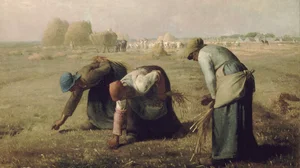 The Gleaners