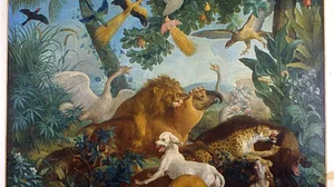 Tierkampf