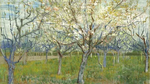The pink orchard