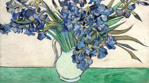 Irises