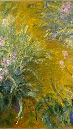 The Path through the Irises