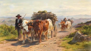 Charrette attelée de vaches et bouvier en Auvergne