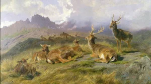 Landscape with Deer