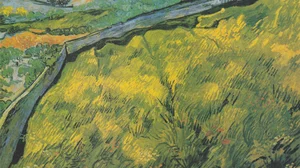 Enclosed Wheat Field with Rising Sun