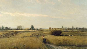 The Harvest